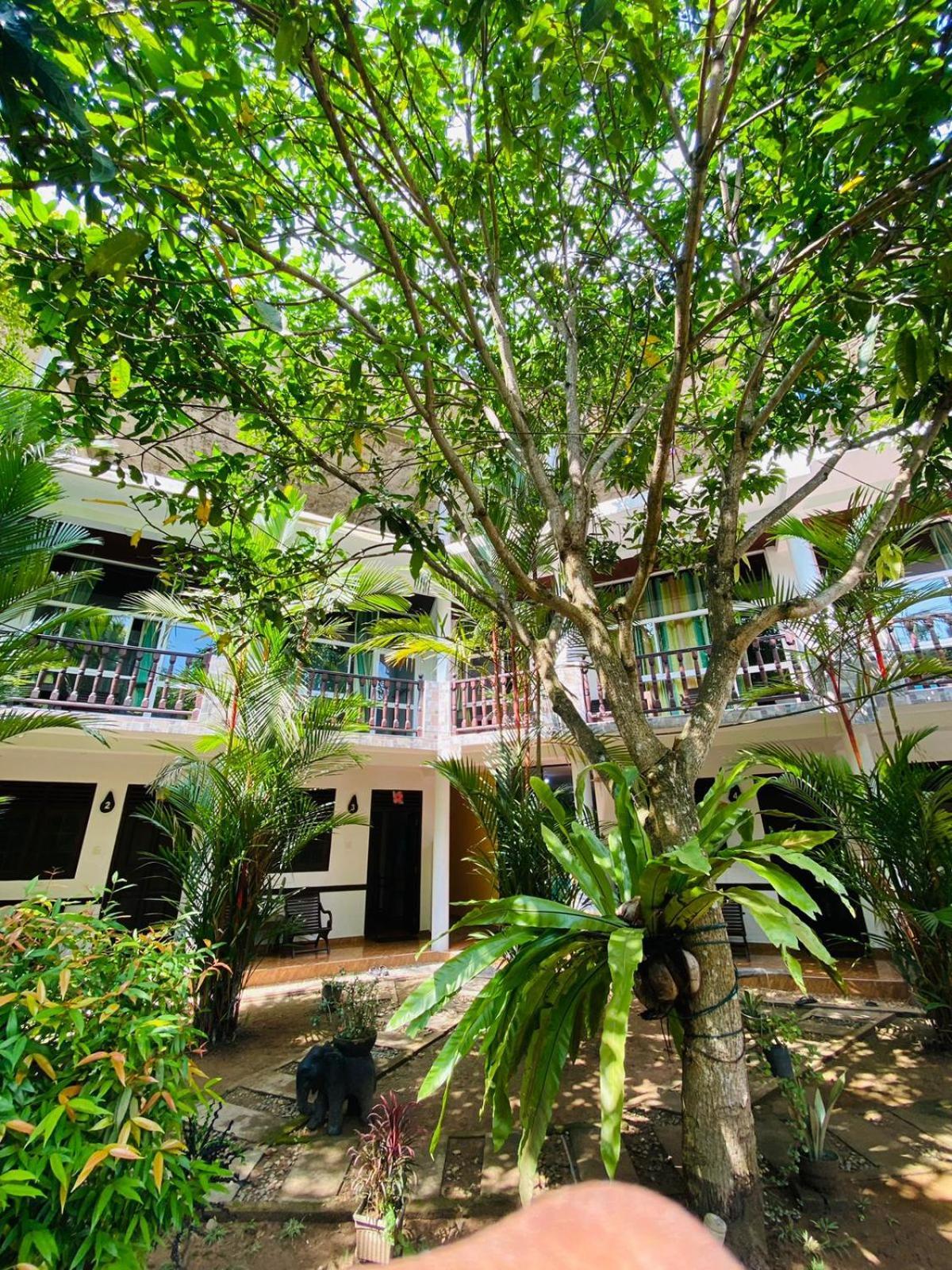 Hotel Poppies Mirissa Exterior foto